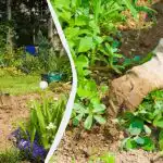 Tako je pletje gred dvakrat lažje in hitrejše: plevela sploh ni. Tako je pletje gred dvakrat lažje in hitrejše: plevela sploh