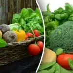 Teh rastlin ne sadite iz semen - izgubili boste pridelek Teh rastlin ne sadite iz semen - izgubili boste pridelek