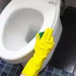 Večletne obloge so se pravkar "odlepile" od straniščne školjke: pomagala