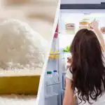 Zakaj dati sol v hladilnik: novinar je delil učinkovit življenjski